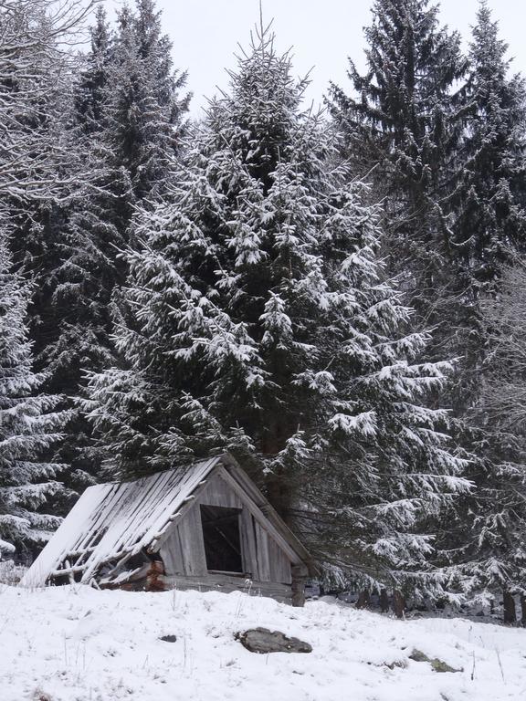 Rojerhof Villa ชลัดมิง ภายนอก รูปภาพ