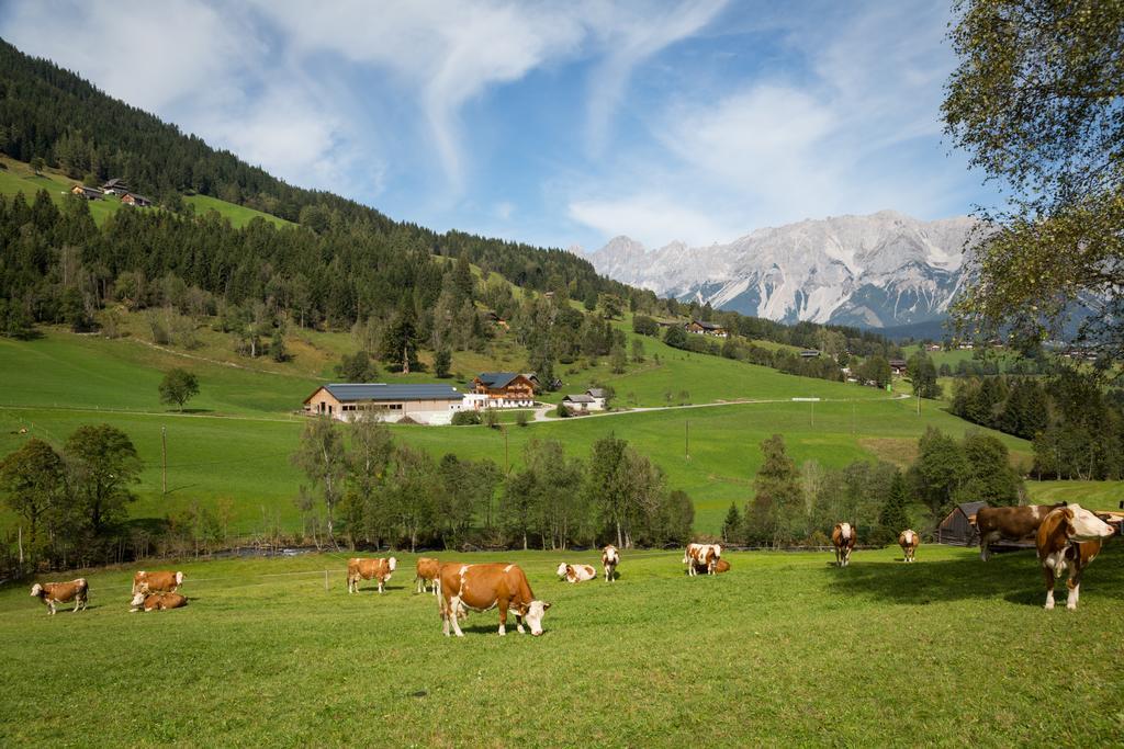 Rojerhof Villa ชลัดมิง ภายนอก รูปภาพ